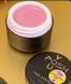 Light Acryl Gel YOU POSH (15 ml). №2 lagyouposh2 фото 3