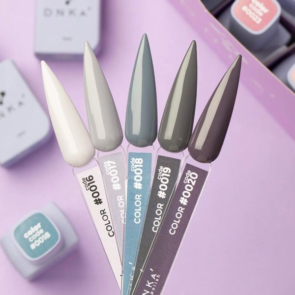 Гель лак DNKa, 12 ml Color #0016 - Сірий світлий GPDC0016 фото