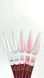 Steffani Acryl Gel - Без ТРО №2 (30мл) - Молочний SAGel30-02 фото 4