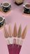 Sachet Builder Gel 50ml. №52 SSBGel50-52 фото 3