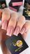 Builder Gel YOU POSH 50 ml. №10 gelposh50010 фото 3