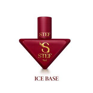 Ice base STEFFANI 9 ml. SAB09 фото