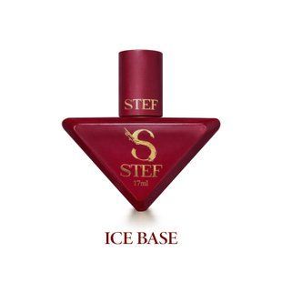Ice base STEFFANI 17 ml. SAB17 фото